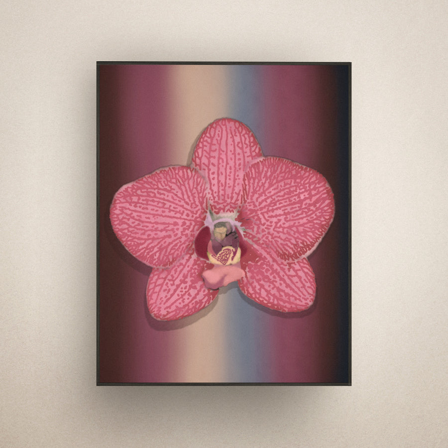 File 001 — The runway 1994