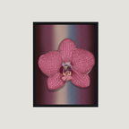 Framed wall art featuring a magenta orchid centered on a burgundy‑to‑taupe‑to‑blue gradient, in a slim black frame on a light gray wall.