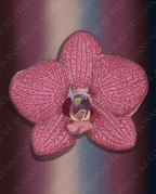 Digital artwork of a magenta, speckled orchid in full bloom on a vertical gradient background of burgundy, taupe, and blue tones.